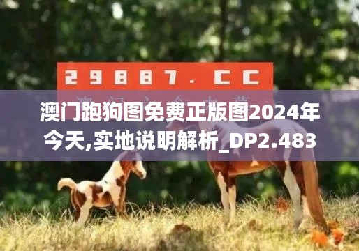 澳門跑狗圖免費(fèi)正版圖2024年今天,實(shí)地說(shuō)明解析_DP2.483