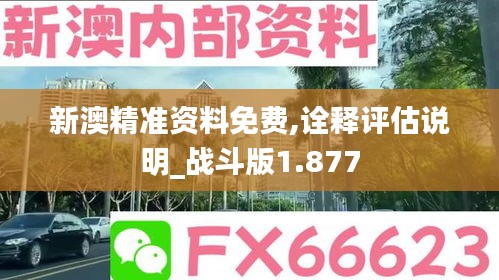 新澳精準(zhǔn)資料免費(fèi),詮釋評估說明_戰(zhàn)斗版1.877