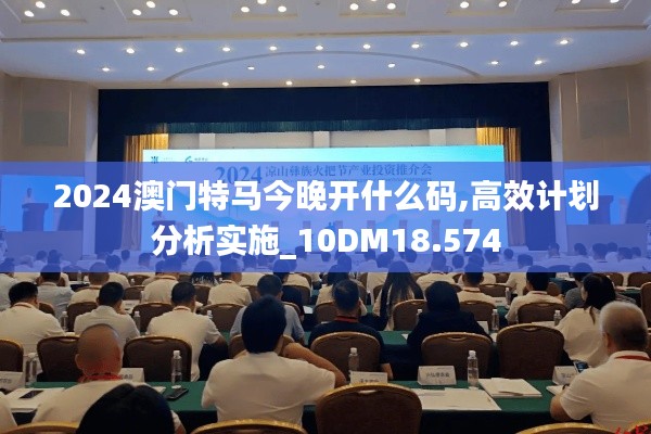 2024澳門特馬今晚開什么碼,高效計(jì)劃分析實(shí)施_10DM18.574