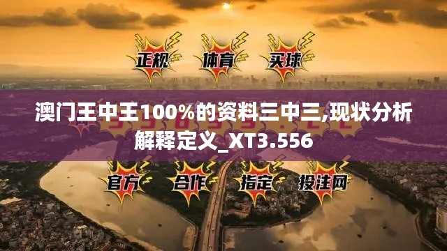 澳門王中王100%的資料三中三,現(xiàn)狀分析解釋定義_XT3.556