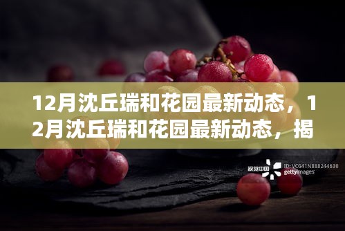 揭秘未來生活篇章，沈丘瑞和花園最新動(dòng)態(tài)揭曉