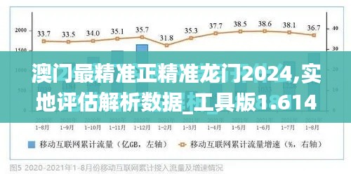 澳門最精準(zhǔn)正精準(zhǔn)龍門2024,實地評估解析數(shù)據(jù)_工具版1.614