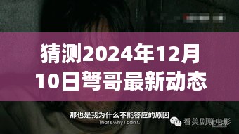 弩哥未來動向猜想，展望2024年12月10日的最新動態(tài)