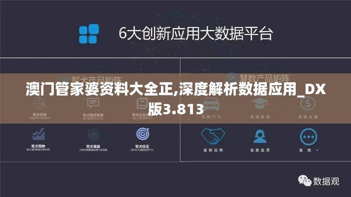 澳門(mén)管家婆資料大全正,深度解析數(shù)據(jù)應(yīng)用_DX版3.813