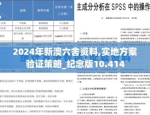 2024年新澳六舍資料,實(shí)地方案驗(yàn)證策略_紀(jì)念版10.414
