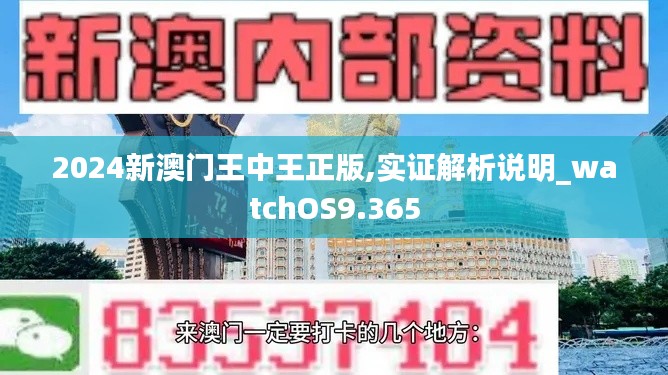 2024新澳門王中王正版,實(shí)證解析說(shuō)明_watchOS9.365