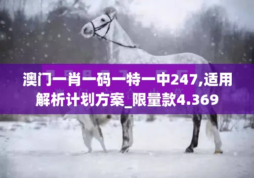 澳門一肖一碼一特一中247,適用解析計(jì)劃方案_限量款4.369
