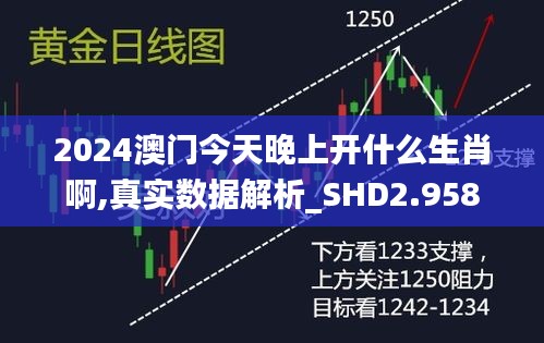 2024澳門今天晚上開什么生肖啊,真實數(shù)據(jù)解析_SHD2.958