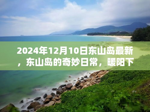 東山島，暖陽下的友情與家的溫馨日常（最新更新）