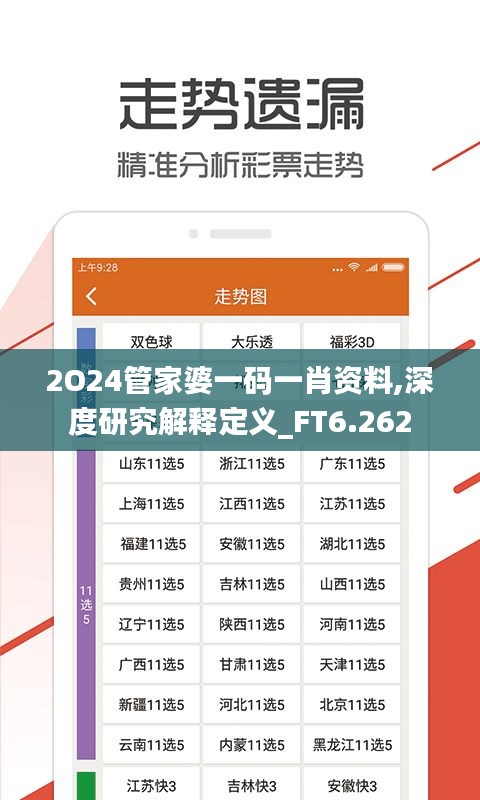 2O24管家婆一碼一肖資料,深度研究解釋定義_FT6.262
