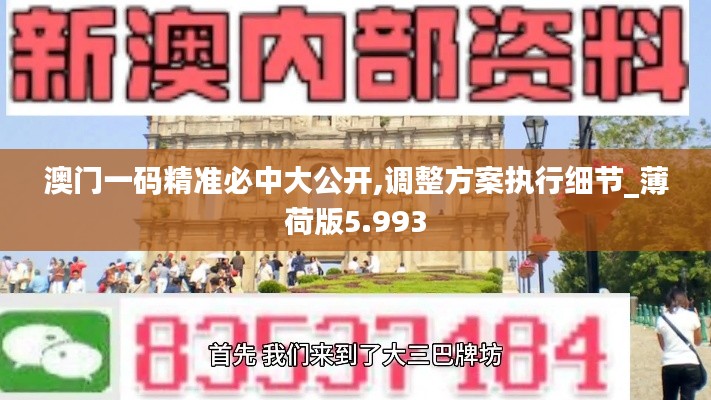 澳門(mén)一碼精準(zhǔn)必中大公開(kāi),調(diào)整方案執(zhí)行細(xì)節(jié)_薄荷版5.993