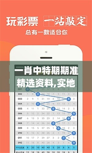 一肖中特期期準(zhǔn)精選資料,實(shí)地驗(yàn)證數(shù)據(jù)策略_SE版8.387