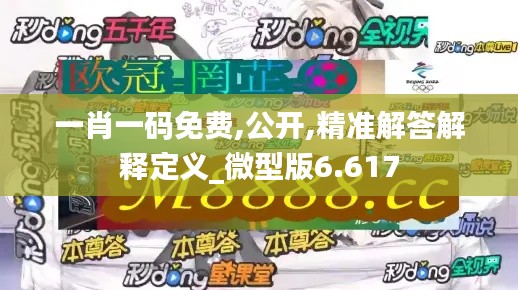 一肖一碼免費(fèi),公開,精準(zhǔn)解答解釋定義_微型版6.617