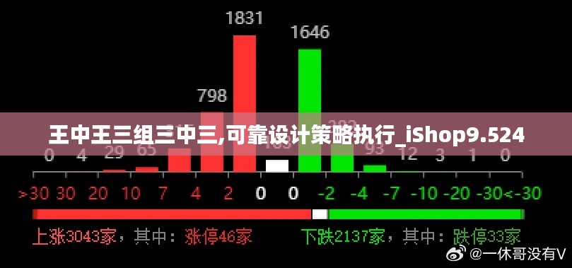 王中王三組三中三,可靠設(shè)計策略執(zhí)行_iShop9.524