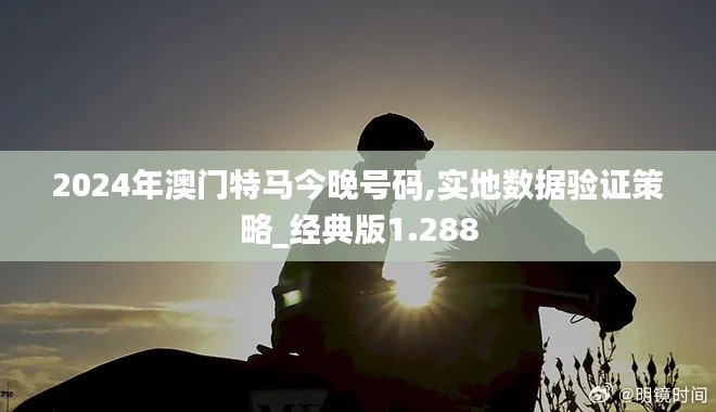 2024年澳門特馬今晚號(hào)碼,實(shí)地?cái)?shù)據(jù)驗(yàn)證策略_經(jīng)典版1.288