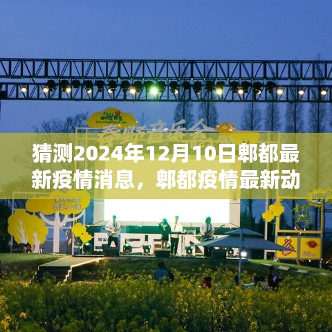 2024年12月10日郫都疫情最新動態(tài)預(yù)測，曙光與希望的展望