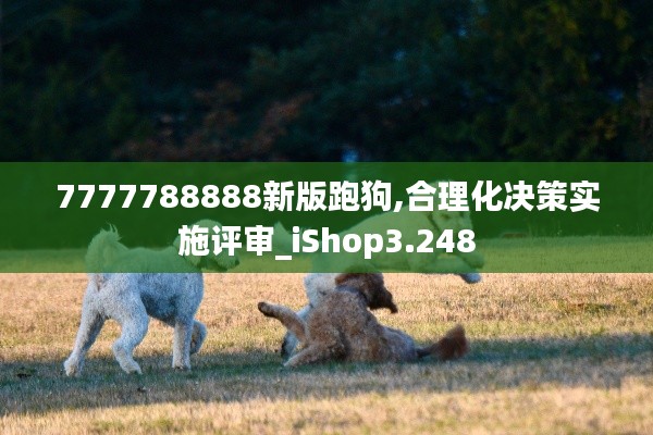 7777788888新版跑狗,合理化決策實施評審_iShop3.248