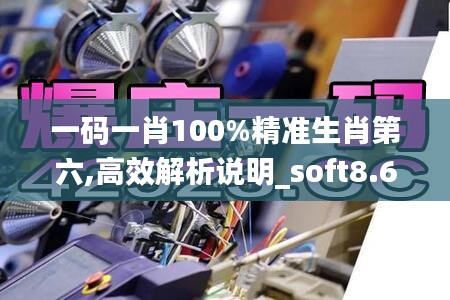 一碼一肖100%精準(zhǔn)生肖第六,高效解析說明_soft8.602