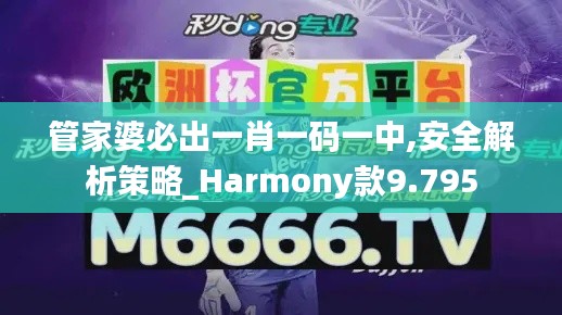 管家婆必出一肖一碼一中,安全解析策略_Harmony款9.795