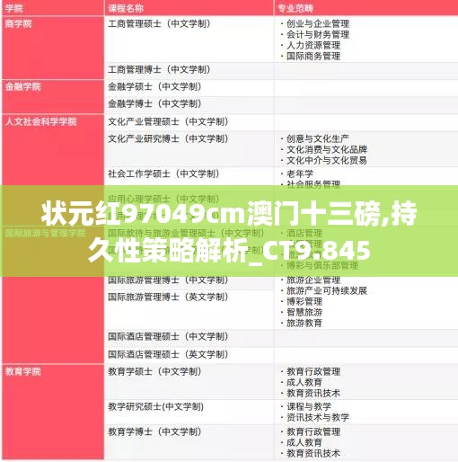 狀元紅97049cm澳門十三磅,持久性策略解析_CT9.845