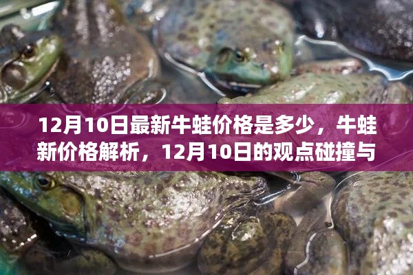 12月10日牛蛙新價格解析，觀點碰撞與個人立場