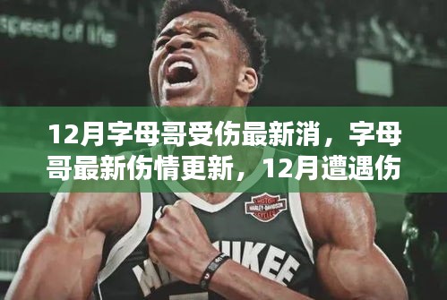 字母哥傷情最新更新，球迷關(guān)心與期待中的傷病恢復(fù)之路