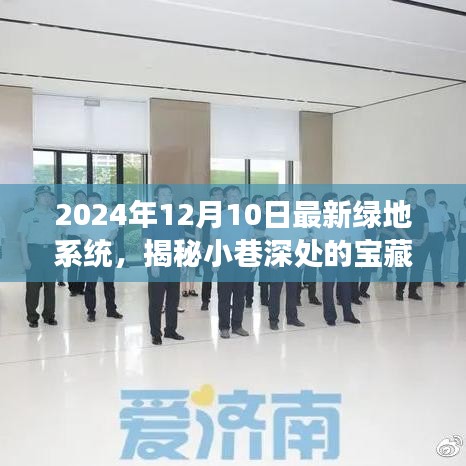 揭秘小巷深處的寶藏，綠地系統(tǒng)下的獨(dú)特小店之旅（2024年最新）