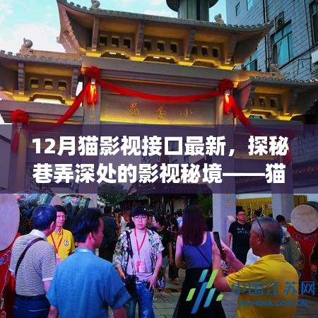 探秘貓影巷角，十二月最新影視接口揭秘獨特魅力