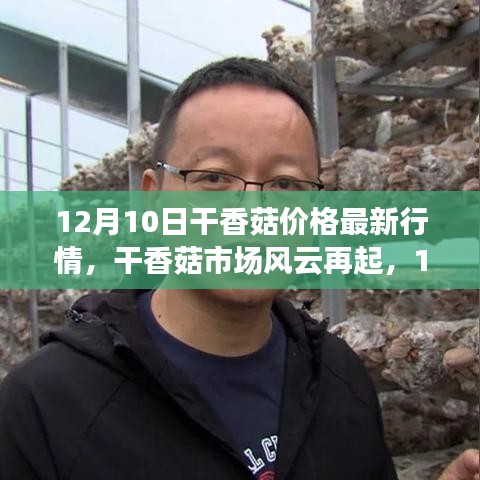 12月10日干香菇市場(chǎng)最新行情深度解析，價(jià)格變動(dòng)與市場(chǎng)風(fēng)云