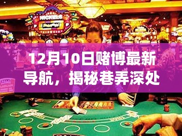 揭秘未知領(lǐng)域的神秘賭場(chǎng)，揭秘賭博犯罪內(nèi)幕的隱藏導(dǎo)航