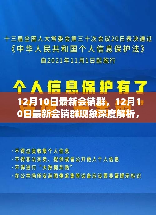 深度解析，12月10日最新會(huì)銷群現(xiàn)象與群內(nèi)營銷之我見