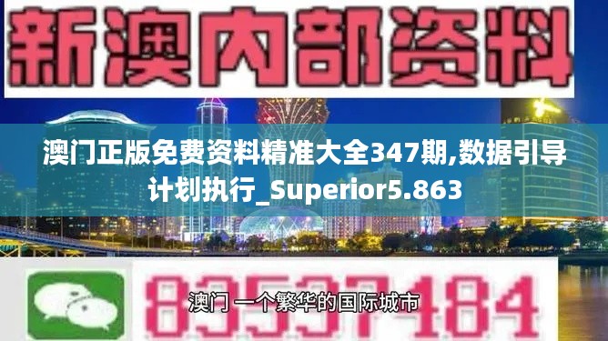 澳門正版免費(fèi)資料精準(zhǔn)大全347期,數(shù)據(jù)引導(dǎo)計(jì)劃執(zhí)行_Superior5.863