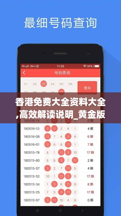 香港免費(fèi)大全資料大全,高效解讀說明_黃金版9.675