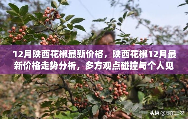 陜西花椒最新動態(tài)，12月價格走勢分析，多方觀點與個人見解碰撞揭秘