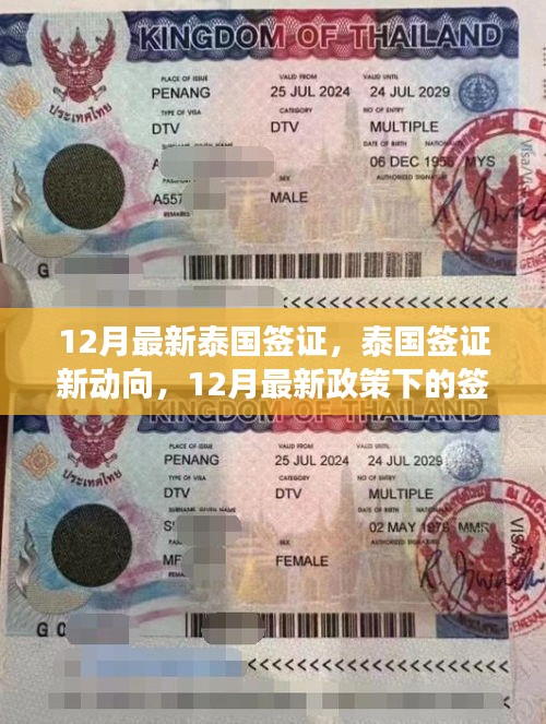 泰國簽證新動(dòng)向，12月最新政策下的變革與個(gè)人立場分析