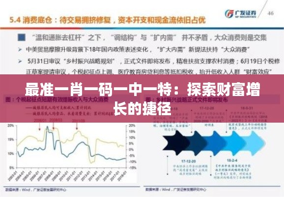 最準(zhǔn)一肖一碼一中一特：探索財(cái)富增長(zhǎng)的捷徑