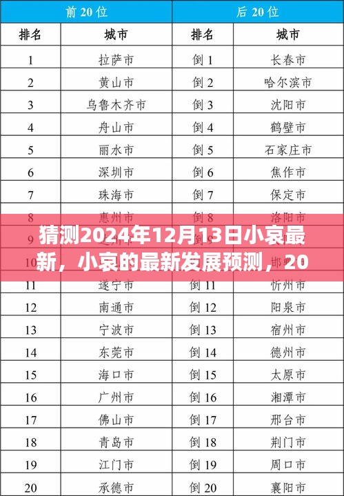 2024年12月13日小哀最新發(fā)展預(yù)測(cè)與走向分析