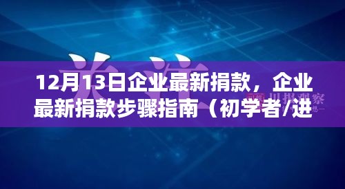 企業(yè)最新捐款步驟指南，初學(xué)者與進(jìn)階用戶的實(shí)用指南（12月13日更新）