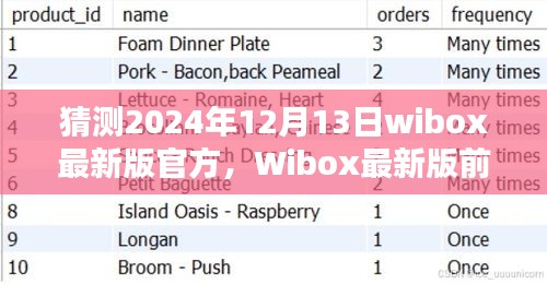 Wibox最新版前瞻，未來科技引領生活新紀元（2024年12月13日官方版猜測）