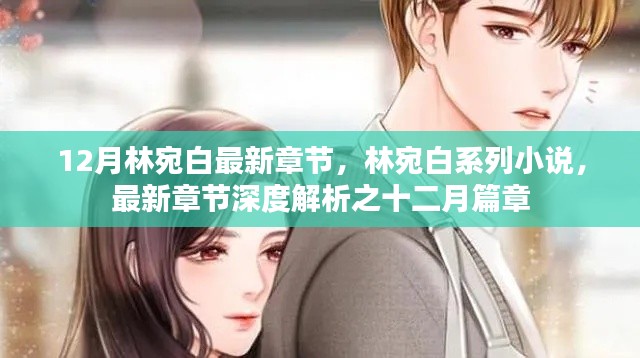 林宛白系列小說深度解析，十二月篇章最新章節(jié)揭秘