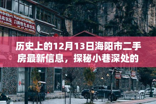 海陽(yáng)市二手房市場(chǎng)揭秘，最新動(dòng)態(tài)與小巷深處的寶藏——12月13日特輯