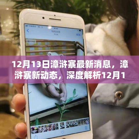 漳滸寨最新動(dòng)態(tài)深度解析，12月13日最新消息報(bào)告