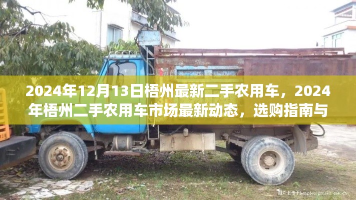 梧州二手農(nóng)用車市場最新動態(tài)及選購指南，案例分析（2024年）