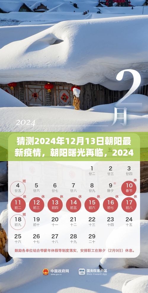 2024年12月13日朝陽最新疫情洞察，曙光再現(xiàn)