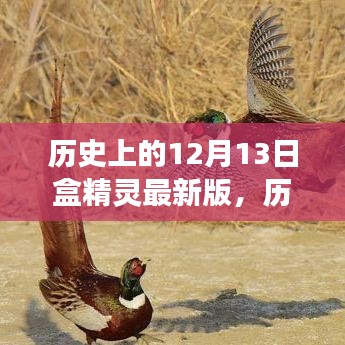 歷史上的12月13日盒精靈最新版，自然美景的心靈之旅