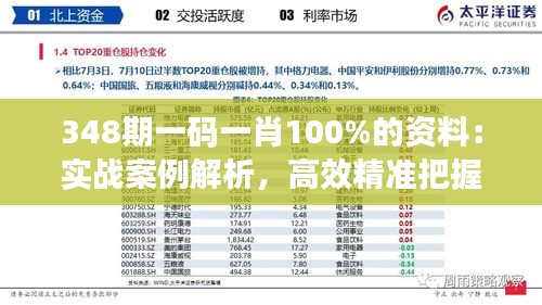 348期一碼一肖100%的資料：實戰(zhàn)案例解析，高效精準把握財富命脈
