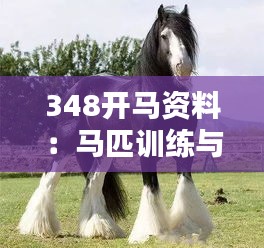 348開(kāi)馬資料：馬匹訓(xùn)練與賽果預(yù)測(cè)的藝術(shù)