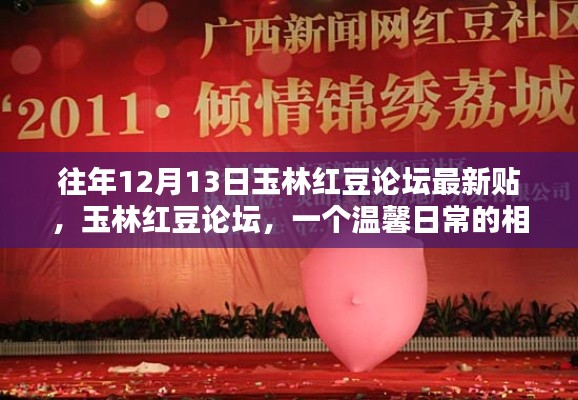 往年玉林紅豆論壇最新貼，溫馨日常的相遇與分享