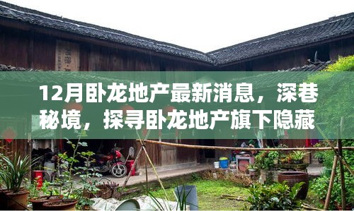 深巷秘境探秘臥龍地產(chǎn)旗下特色小店最新動(dòng)態(tài)揭秘