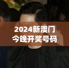 2024新澳門今晚開獎號碼和香港348期：賭場的心跳時(shí)刻